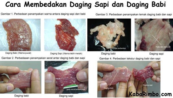 5 Cara Bedakan Daging Sapi Dengan Daging Celeng!