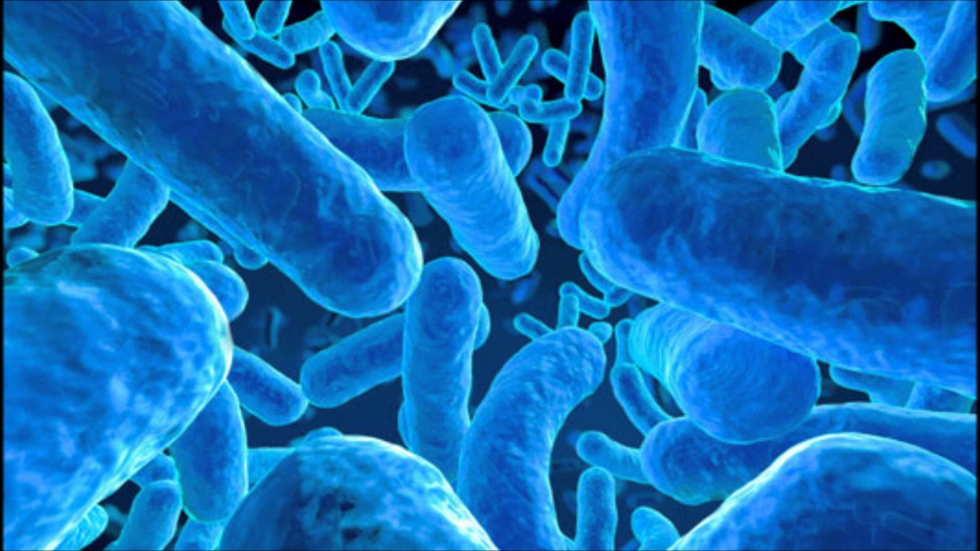 4 Wabah Mikroba Yang Tercatat Dalam Sejarah Dunia