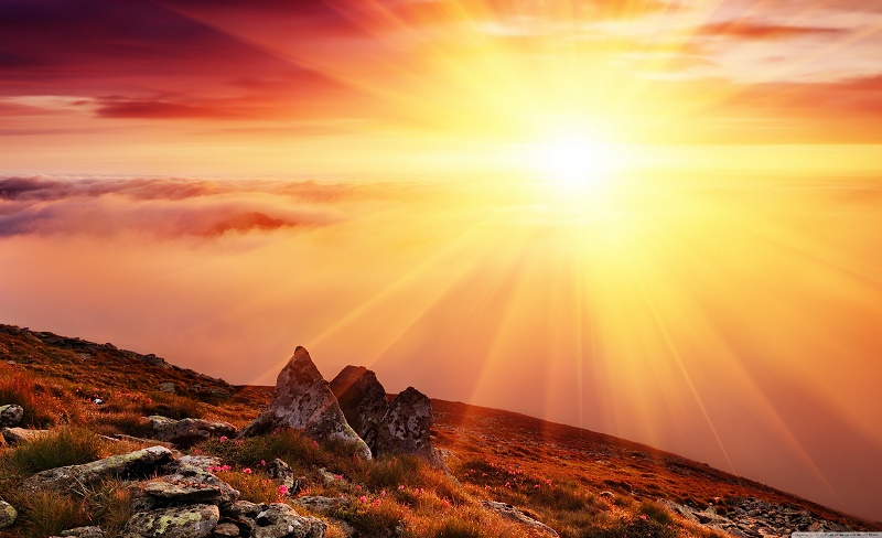 Kurang Berjemur Sebabkan Kanker Pankreas?