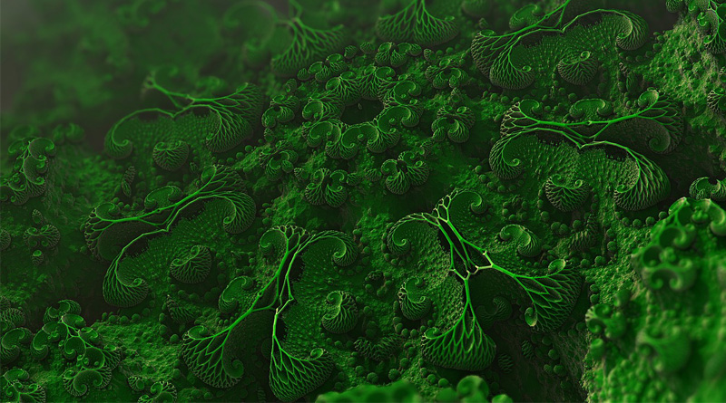 Kenali Organel dan Lokasinya Dengan Organelle Marker Antibodies