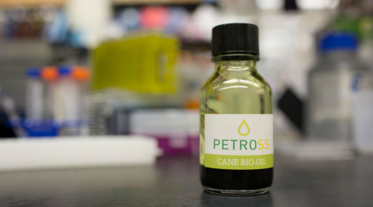 Tebu sebagai Bahan Baku Biodiesel yang Menjanjikan