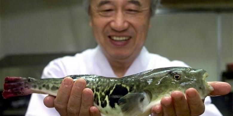 Konsumsi Ikan Fugu Dilarang di Jepang