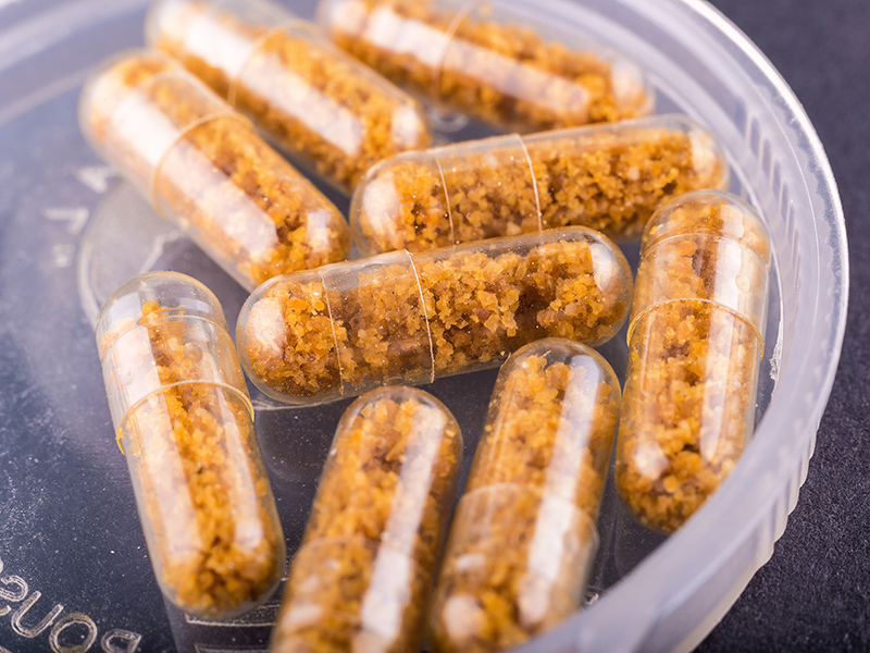 Kapsul Obat dari Feses Manusia Efektif untuk Mengobati Infeksi Saluran Pencernaan Akut