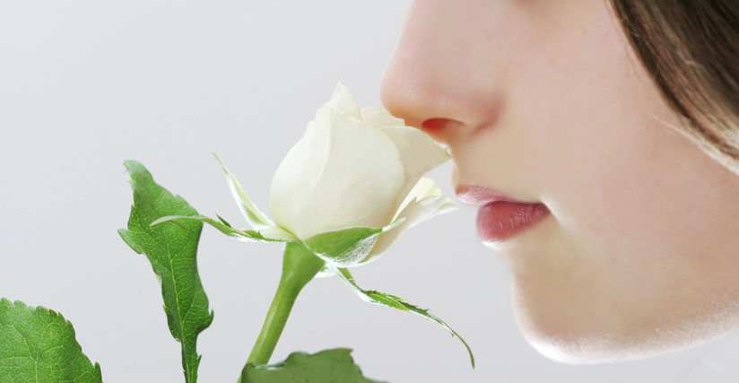 Hidung Manusia Mampu Mengenal Satu Triliun Aroma