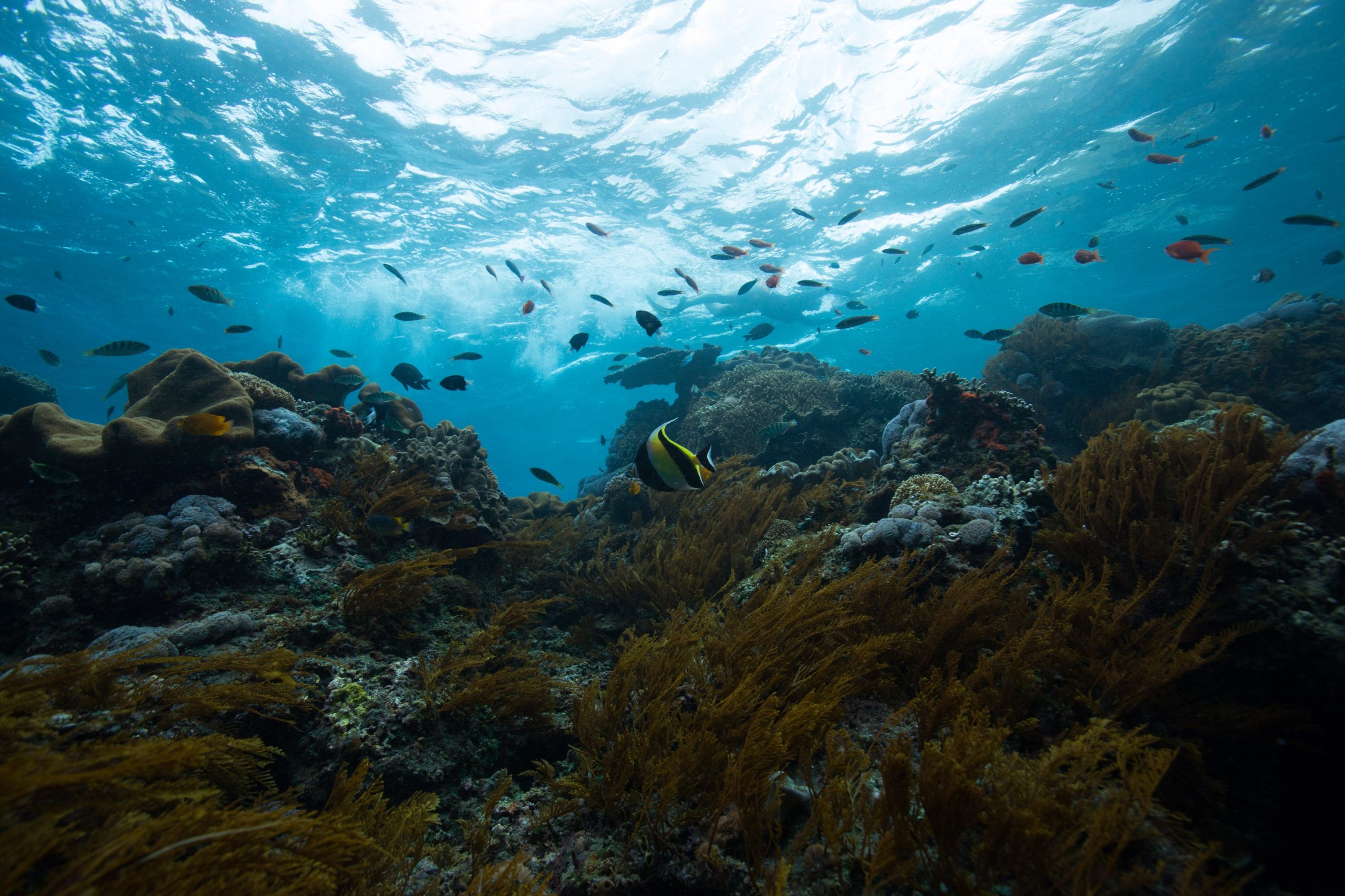 Cina Berencana Membuat Lab Bawah Laut di Kedalaman 10.000 Kaki
