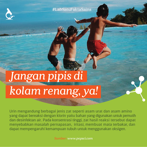 Jangan Pipis di Kolam Renang ya?