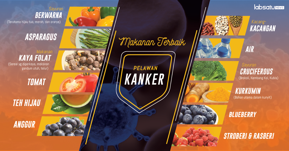 Makanan Pencegah Kanker