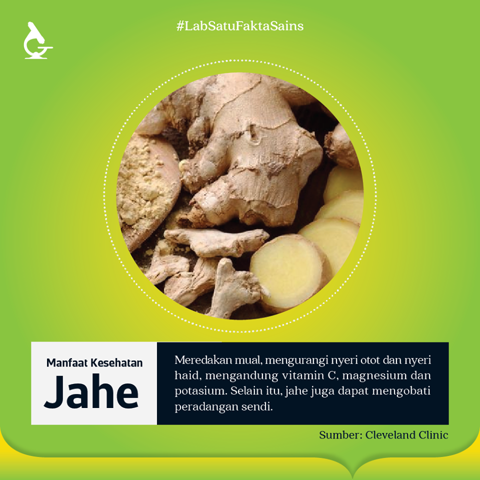 Berbagai Manfaat Jahe untuk Kesehatan