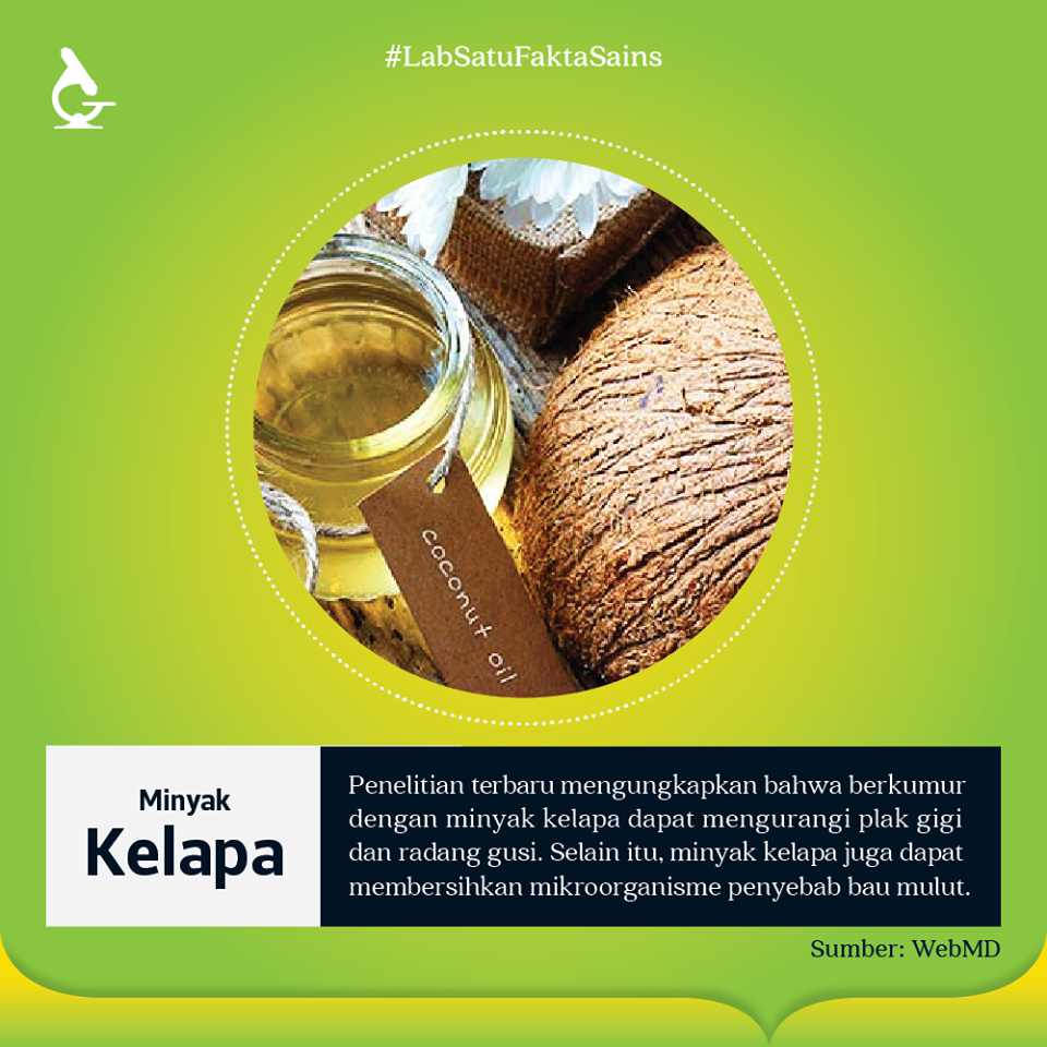 Minyak Kelapa untuk Meredakan Radang Gusi dan Menghilangkan Plak Gigi