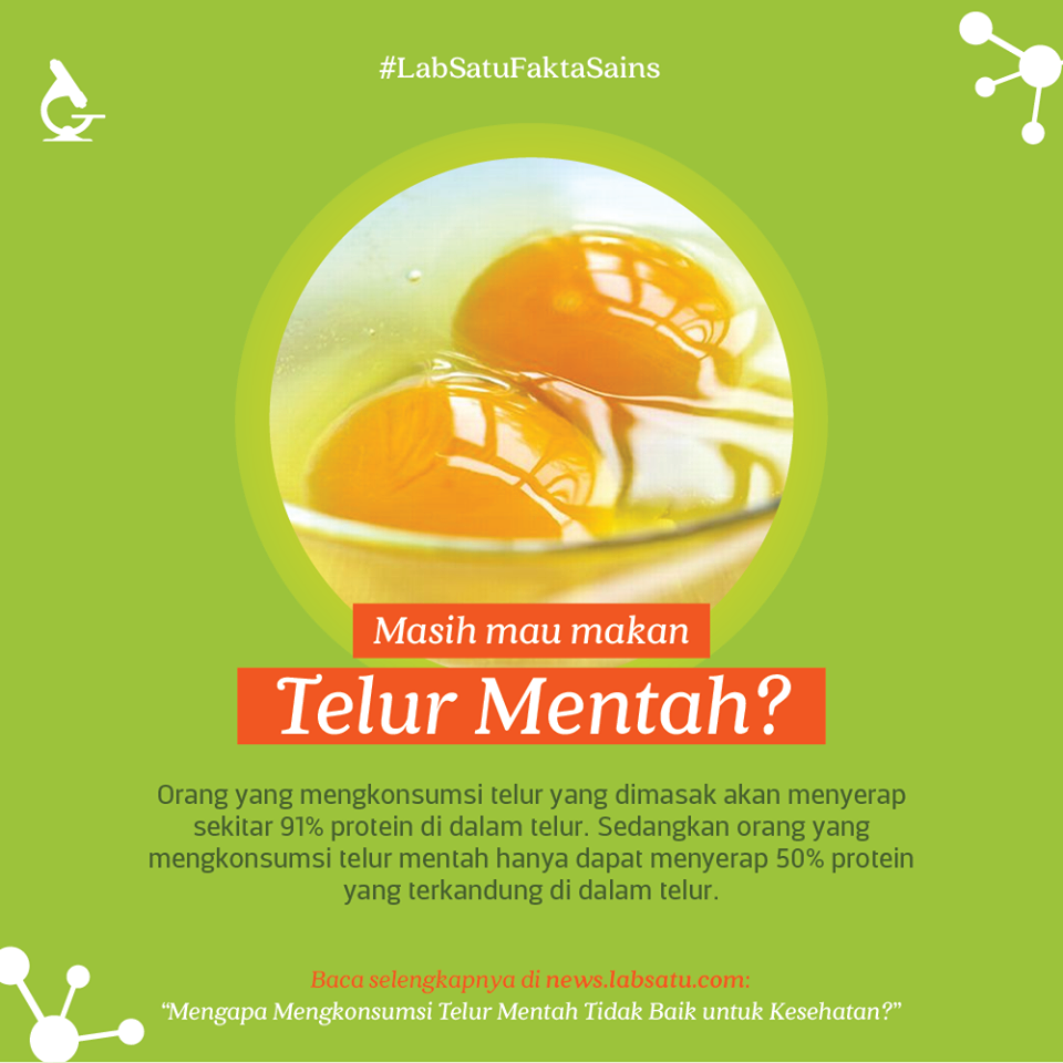 Jangan Makan Telur Mentah !