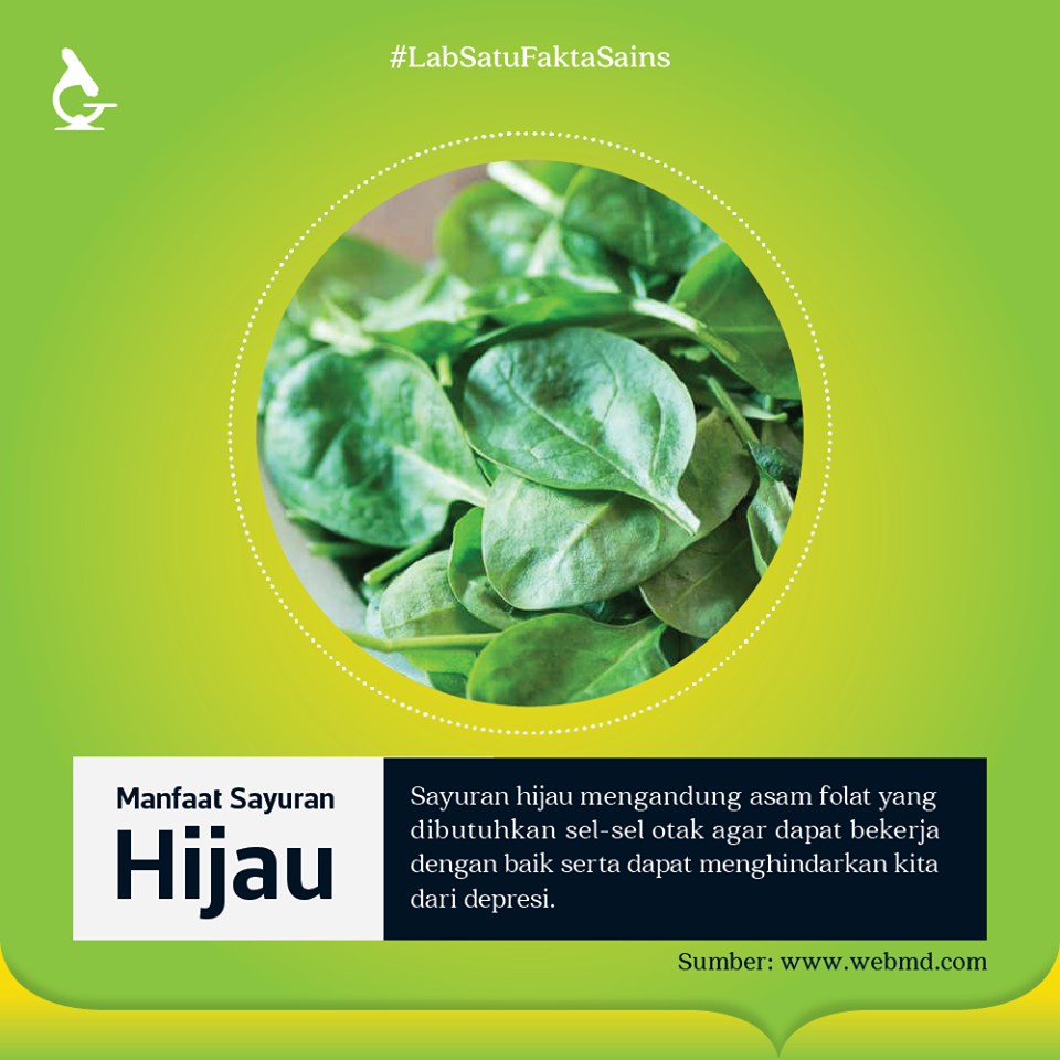 Konsumsi Sayuran Hijau Dapat Mencegah Terkena Depresi