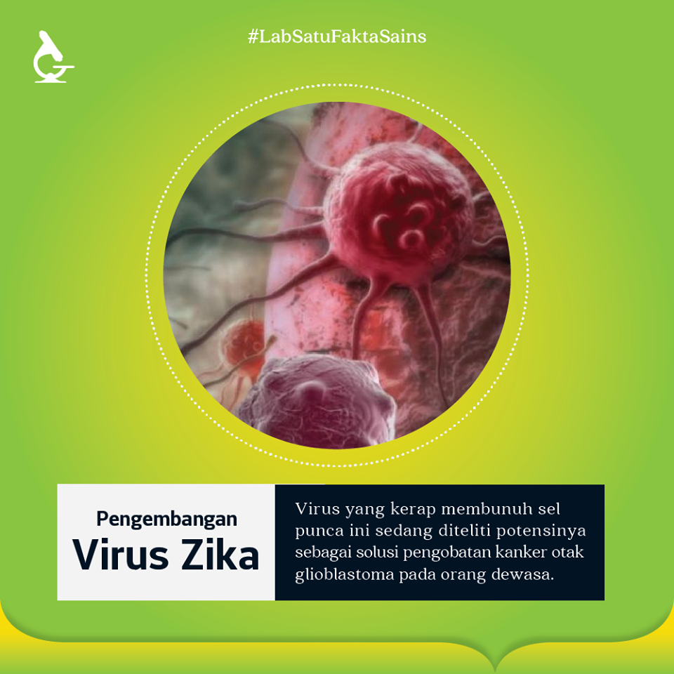 Virus Zika untuk Pengobatan Kanker Otak