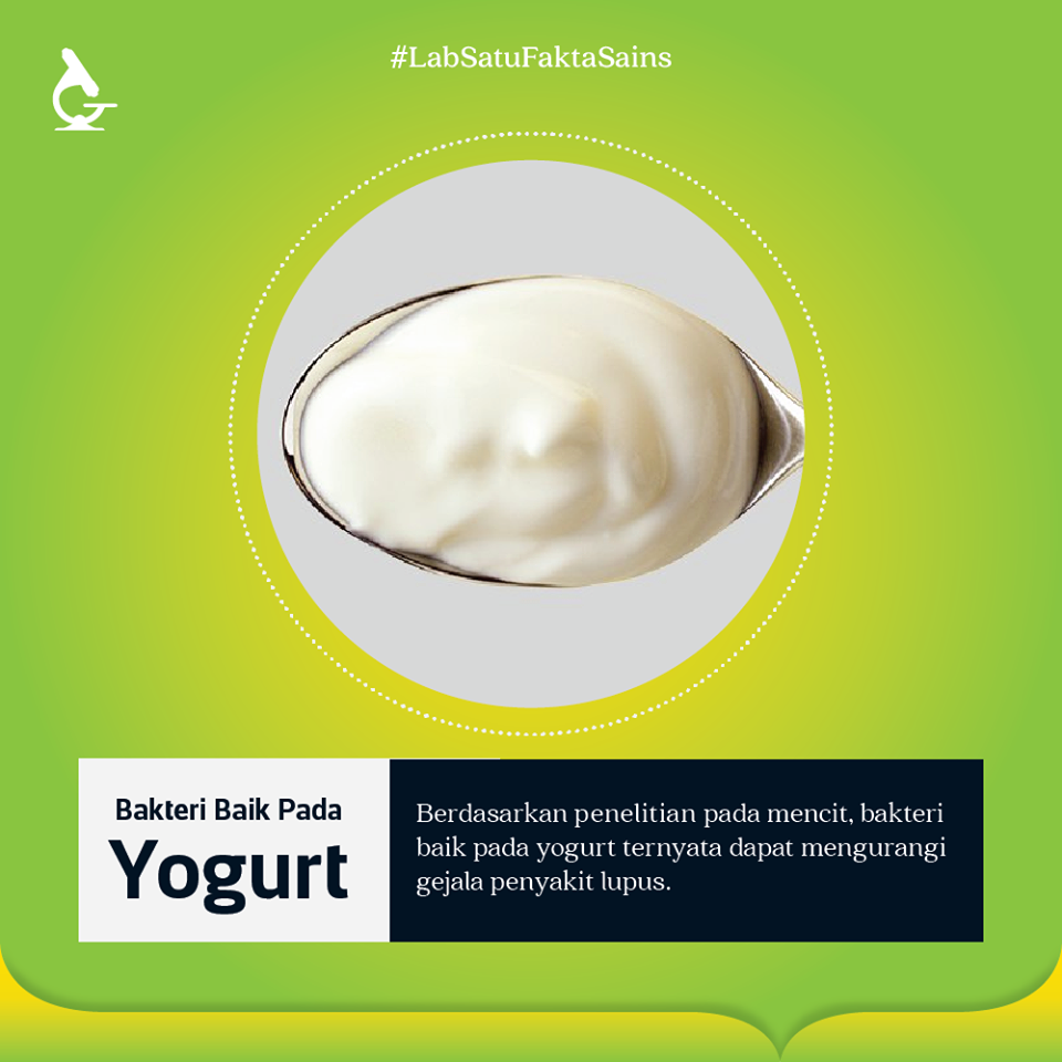 Yoghurt Mengurangi Gejala Penyakit Lupus