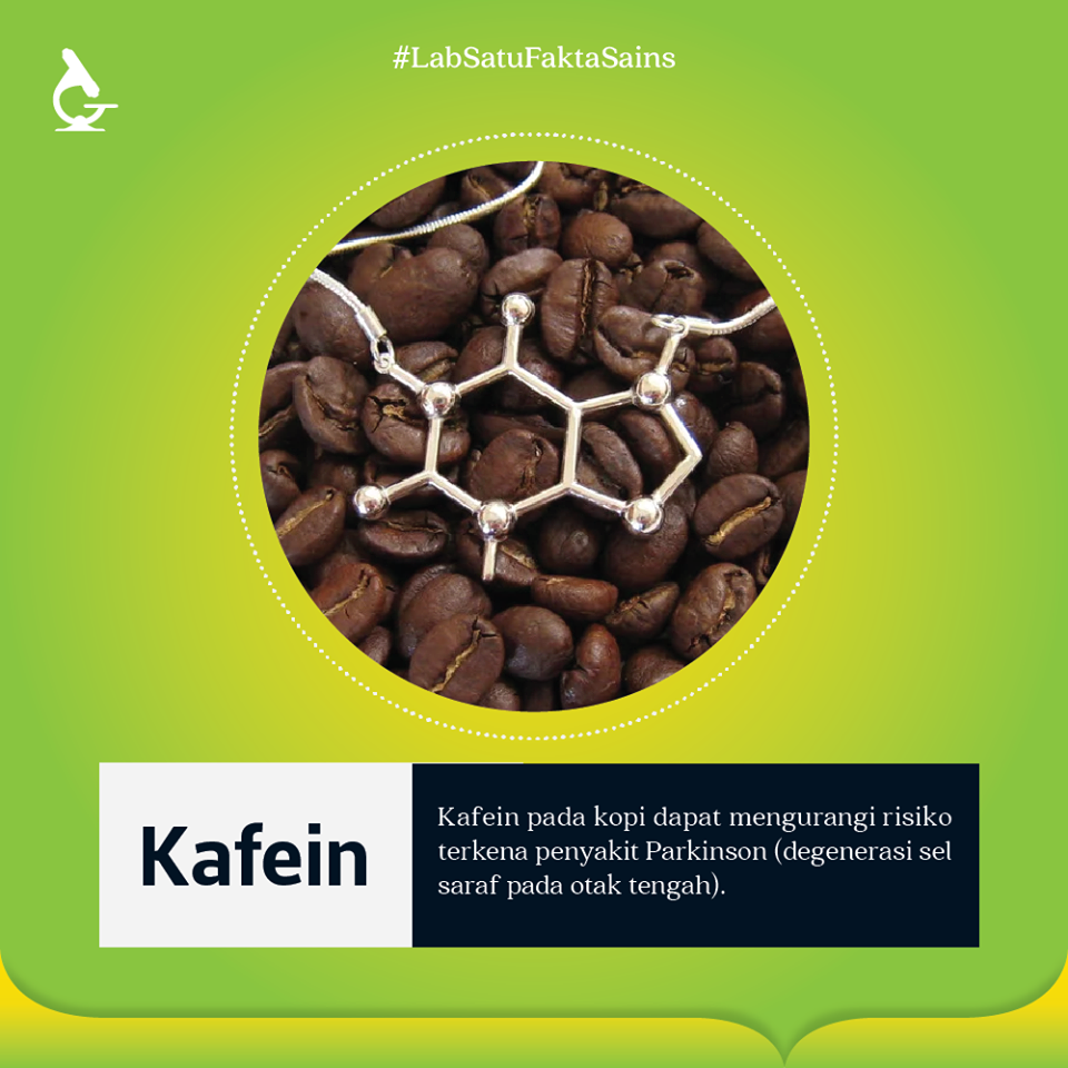 Minum Kopi Dapat Mengurangi Risiko Terkena Penyakit Parkinson