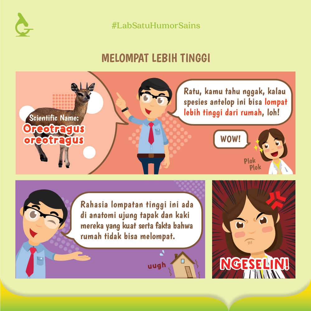 Melompat Lebih Tinggi