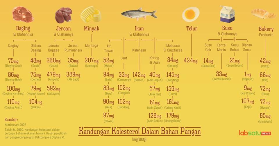 Kadar Kolesterol Dalam Berbagai Jenis Makanan