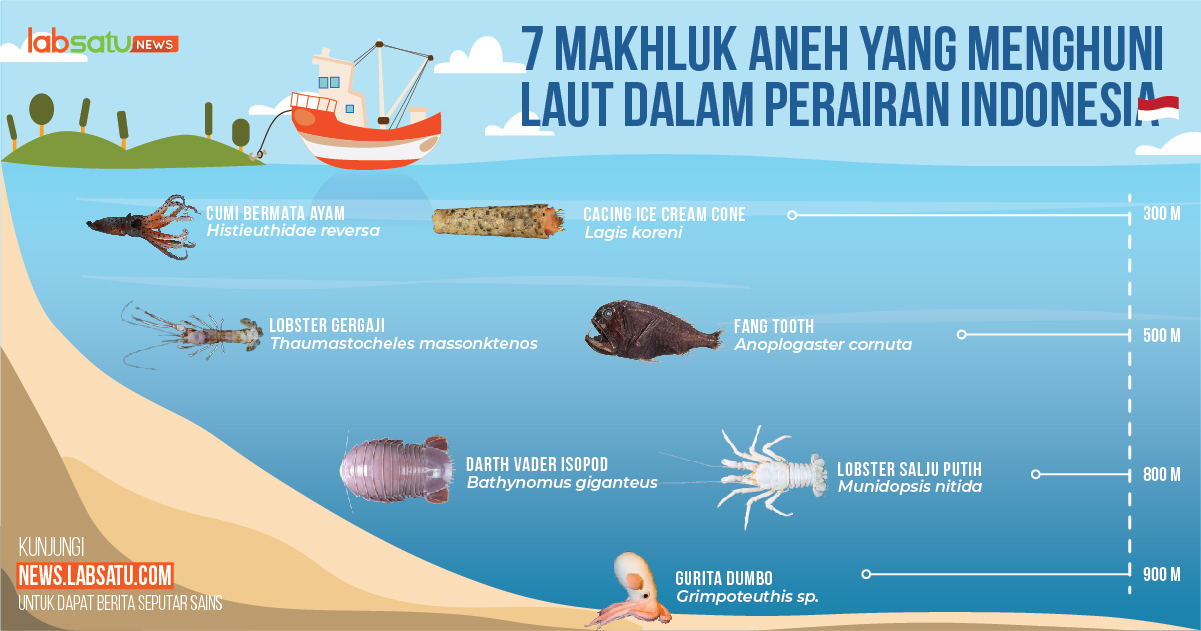 Ini 7 Mahkluk Laut Aneh Yang Menghuni Laut Dalam Jawa Selatan !