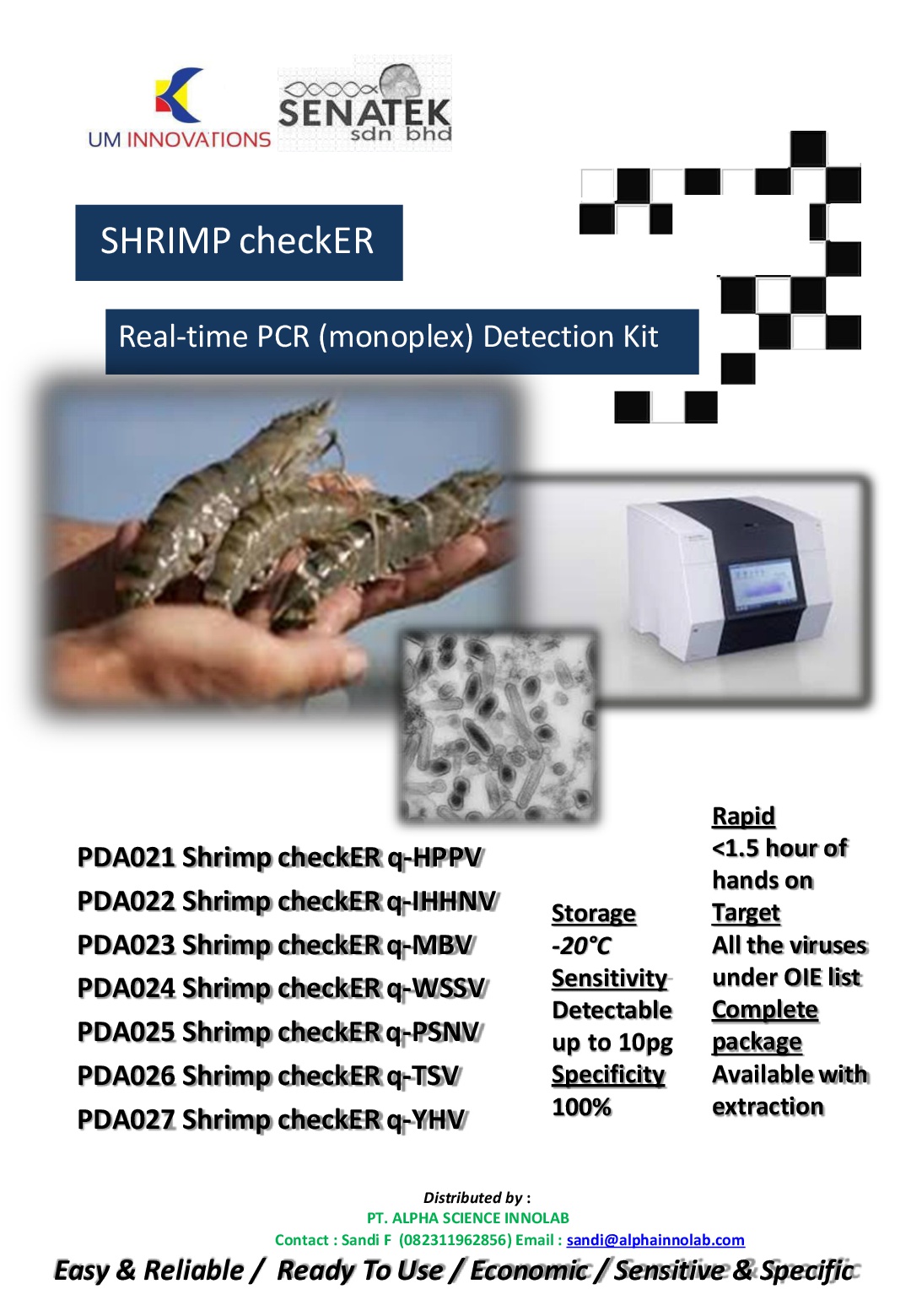 Shrimp Checker – Senatek Lamp