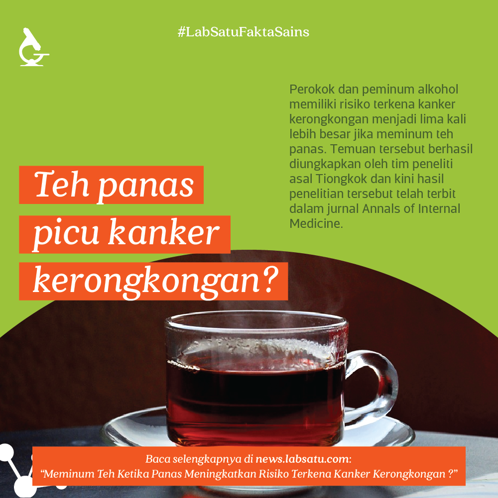 Bahaya meminum teh panas bagi perokok