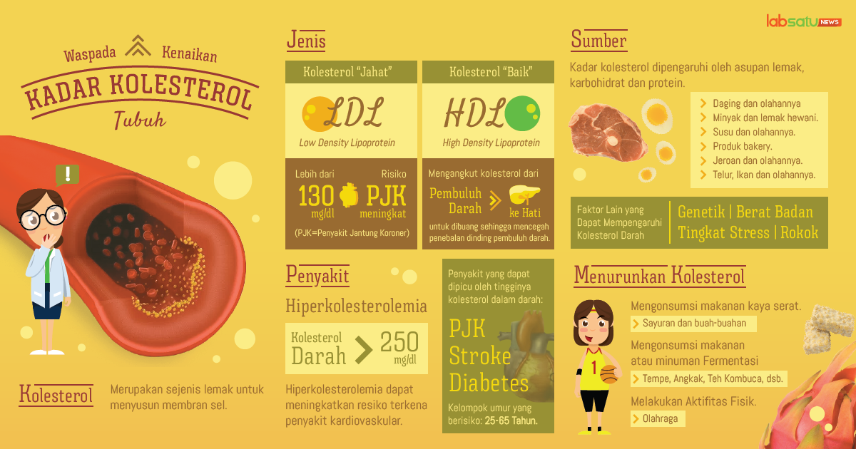 Mengenal Apa Itu Kolesterol ?