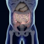 Bakteri Usus Dapat Mencegah Penyakit Diabetes Yang Terkait dengan Usia