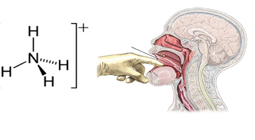 Pertolongan Pada Saat Keracunan Amonium Hidroksida